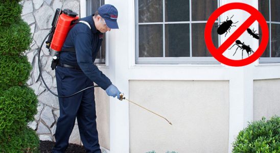 Özalp Kene İlaçlama böcek ilaçlama ve haşere kontrolü — ilaclama-tr.com